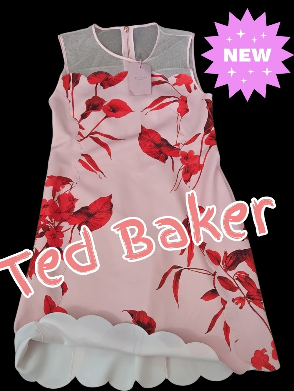 New Ted Baker stunning $295 designer dress Women size 4